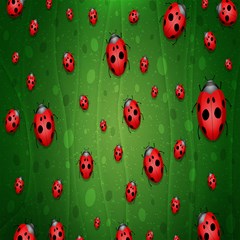 ladybugs red leaf green polka animals insect