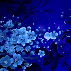 floral design cherry blossom blue colors