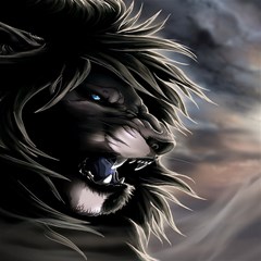 angry lion digital art hd