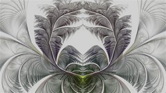 fractal white design pattern