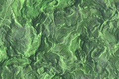 geological surface background