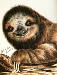 sloth 300dpi