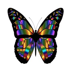 abstract animal art butterfly