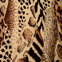 animal pattern design print texture