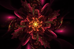 floral fractal glow flower design