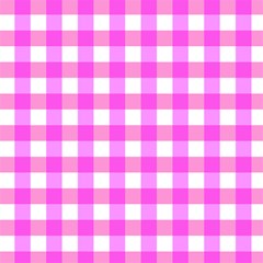 gingham duo fuschia on pink