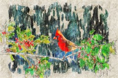 texture art decoration abstract bird nature