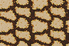 python skin seamless background vector graphic art