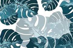 monstera leaves background