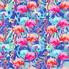 flamingo2