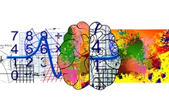 brain cerebrum biology abstract