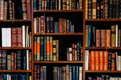 assorted title of books piled in the shelves book lot inside wooden shelf