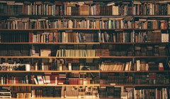 books on bookshelf assorted color book lot in bookcase library