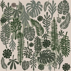 plants leaves boho botany foliage