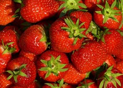 strawberry