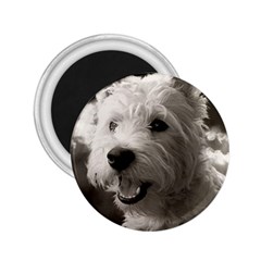 Westie Puppy Regular Magnet (round)