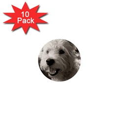 Westie Puppy 10 Pack Mini Button (round)