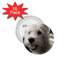 Westie Puppy 10 Pack Small Button (round)