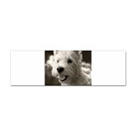 Westie.puppy Bumper Sticker Front