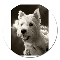 Westie Puppy Extra Large Sticker Magnet (round) by Koalasandkangasplus