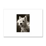 Westie.puppy 10 Pack A4 Sticker Front