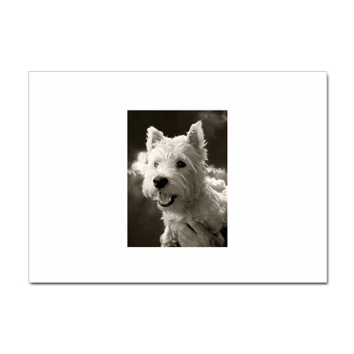 Westie.puppy 10 Pack A4 Sticker