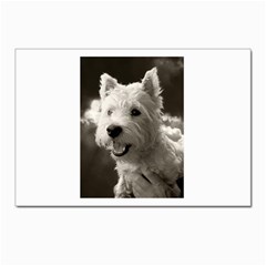 Westie Puppy 10 Pack Small Postcard