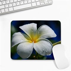 Frangipani Tropical Flower Small Mouse Pad (rectangle)