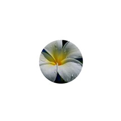 Frangipani Tropical Flower Mini Button (round)