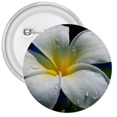 Frangipani Tropical Flower Large Button (round)