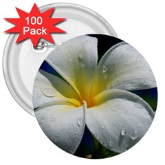 Frangipani Tropical Flower 100 Pack Large Button (round)