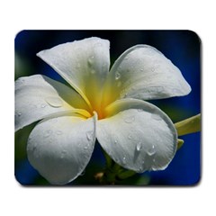 Frangipani Tropical Flower Large Mouse Pad (rectangle)