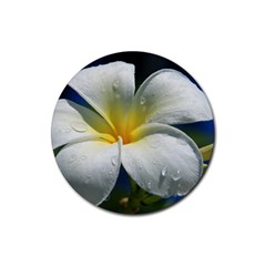 Frangipani Tropical Flower Rubber Drinks Coaster (round)