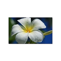 Frangipani Tropical Flower 10 Pack Sticker (rectangle)