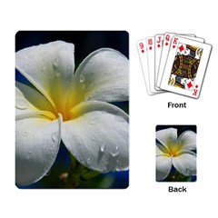 Frangipani Tropical Flower Standard Playing Cards