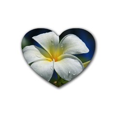 Frangipani Tropical Flower 4 Pack Rubber Drinks Coaster (heart)