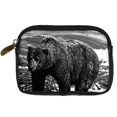 Vintage Usa Alaska Brown Bear 1970 Compact Camera Case by Vintagephotos