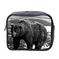 Vintage Usa Alaska Brown Bear 1970 Twin-sided Cosmetic Case by Vintagephotos