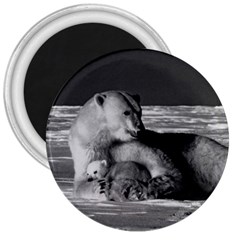 Vintage Usa Alaska Mother Polar Bear 1970 Large Magnet (round)