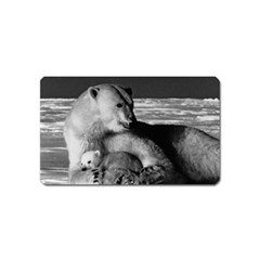 Vintage Usa Alaska Mother Polar Bear 1970 Name Card Sticker Magnet