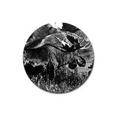 Vintage Usa Alaska Bull Moose 1970 Large Sticker Magnet (round) by Vintagephotos