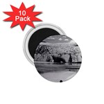 Vintage USA Alaska Mendenhall glacier Juneau 1970 10 Pack Small Magnet (Round) Front