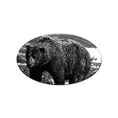 Vintage Usa Alaska Brown Bear 1970 Sticker (oval)