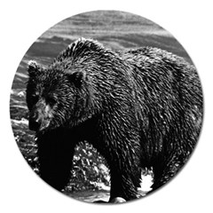 Vintage Usa Alaska Brown Bear 1970 Extra Large Sticker Magnet (round) by Vintagephotos