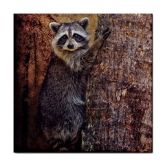 Raccoon Ceramic Tile