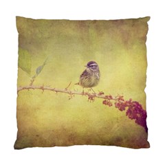 Palm Warbler Single-sided Cushion Case