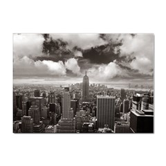 New York, Usa 100 Pack A4 Sticker by artposters