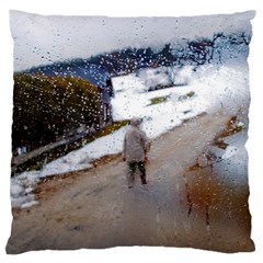 Rainy Day, Salzburg Large Cushion Case (one Side) by artposters