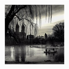 Central Park, New York Single-sided Large Glasses Cleaning Cloth by artposters