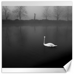 Swan 20  X 20  Unframed Canvas Print by artposters